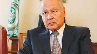 أبو الغيط: صحوة غير مسبوقة تشهدها مصر في عهد الرئيس السيسي