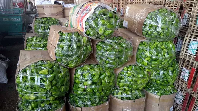 جدول أسعار الخضروات اليوم الاثنين في سوق العبور