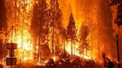 حرائق كاليفورنيا تلتهم مليوني فدان وتضع 50 شخصا تحت الحصار 