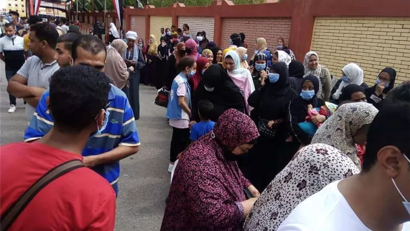 شاهد.. رصد جولة الإعادة في انتخابات مجلس الشيوخ