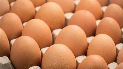 منتجي الدواجن  طبق البيض يخسر 20 جنيه|تفاصيل