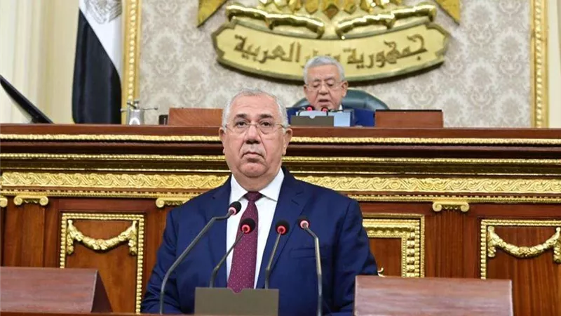 أمام النواب.. وزير الزراعة: الانتهاء من تطوير 230 مركز لتجميع الألبان