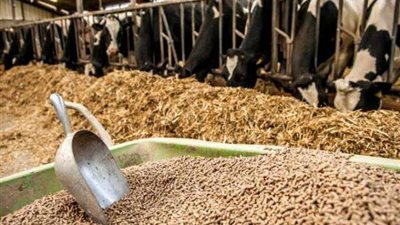 أسعار أعلاف الدواجن والمواشي في الأسواق اليوم الأحد 25-12-2022