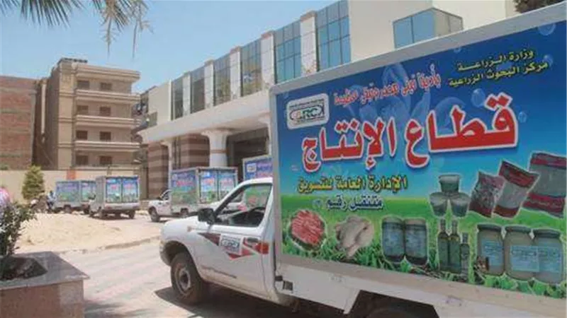 اللحوم بــ150 والأرز بــ13 جنيه.. خطة الزراعة لمواجهة الغلاء