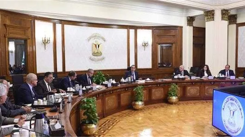 الحكومة: الإفراج عن بضائع بـ 300 مليون دولار تضم السلع الغذائية والزيوت والأعلاف