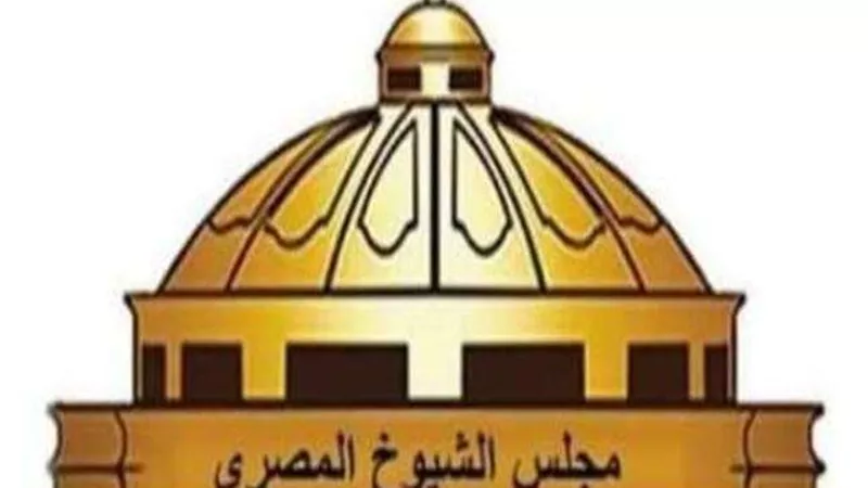 اليوم.. اعلان النتيجة النهائية في جولة إعادة انتخابات مجلس الشيوخ