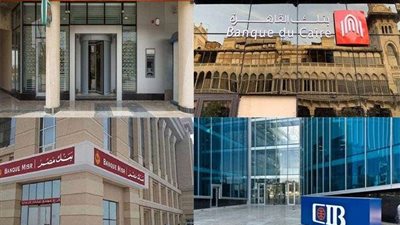رئيس لجنة البنوك: صندوق مصر مملوك للدولة وما تروجه «الجزيرة» شائعات