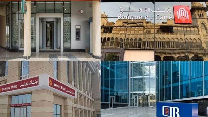 رئيس لجنة البنوك: صندوق مصر مملوك للدولة وما تروجه «الجزيرة» شائعات