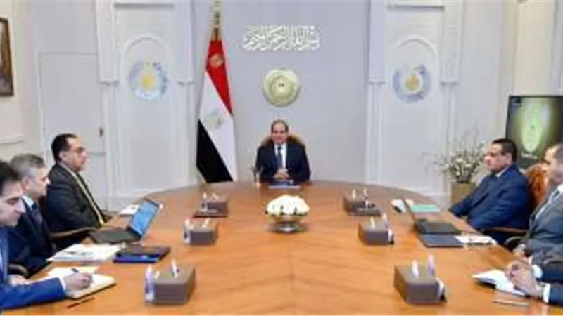 الرئيس السيسي يوجه بتكامل توطين صناعة مراكب الصيد الحديثة