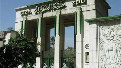 حقيقة غلق حديقة حيوان الجيزة لمدة عام.. فيديو