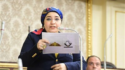 خلال جلسة رقابية.. نائبة التنسيقية تسأل وزير التموين عن الإجراءات الحكومية لتوفير السلع والرقابة على الأسواق