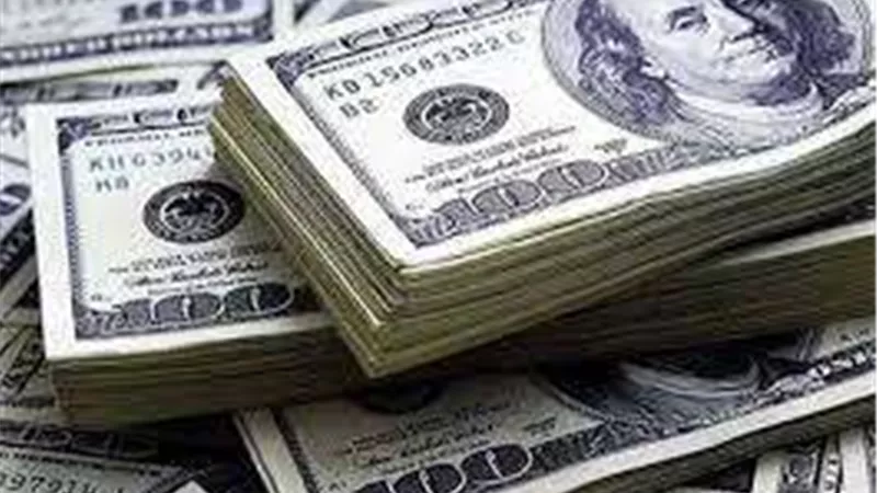 استقرار أسعار صرف الدولار مقابل الجنيه المصري اليوم الثلاثاء