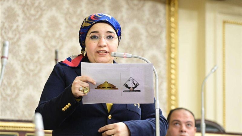 النائبة دعاء عريبي