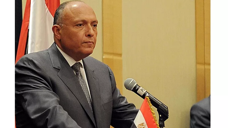 الخارجية: التزام كامل من الحكومة باستعادة الأثار المهربة