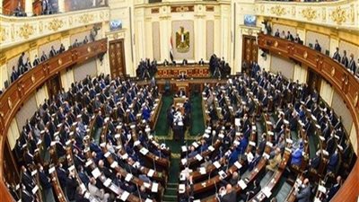 برلمانية تكشف تفاصيل انتشار تطبيق «مكوجي»