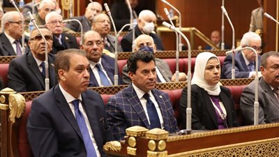 أشرف صبحي: دور استباقي وتنسيقي هام لمجلس الشيوخ وأعضاءه في مناقشة الافكار الهامة للمجتمع