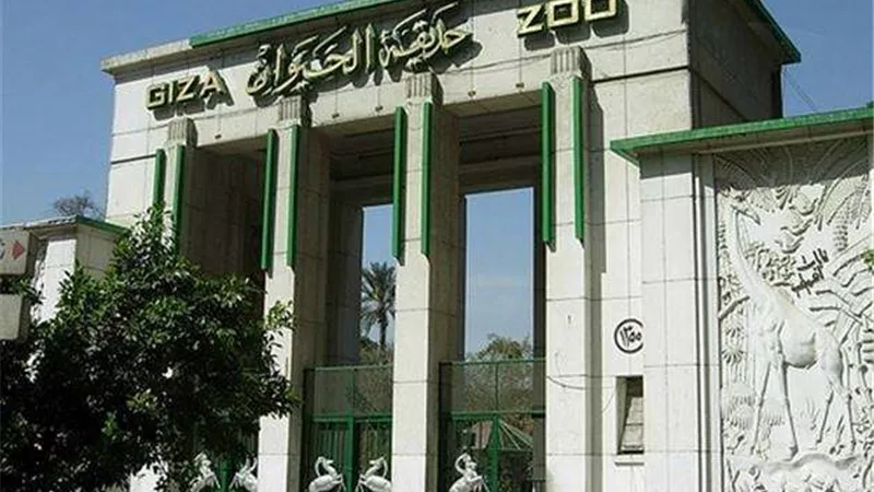 حقيقة نقل ملكية حديقة الحيوان والأورمان لجهة داخلية أو خارجية