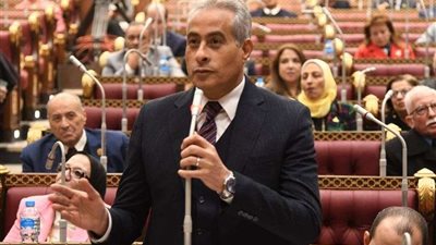 وزير القوى العاملة يستعرض أمام مجلس الشيوخ خطة دمج الاقتصاد غير الرسمي