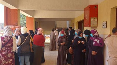محافظ المنيا: استئناف أعمال لجنة تعزيز المواطنة بـ 14 قرية