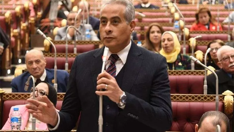 وزير القوى العاملة يستعرض أمام مجلس الشيوخ خطة دمج الاقتصاد غير الرسمي