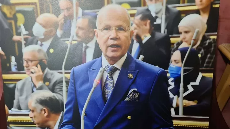 خاص.. برلمانى يكشف تفاصيل مقترح صرف كتاكيت لبطاقات التموين وقطع أراضى للشباب
