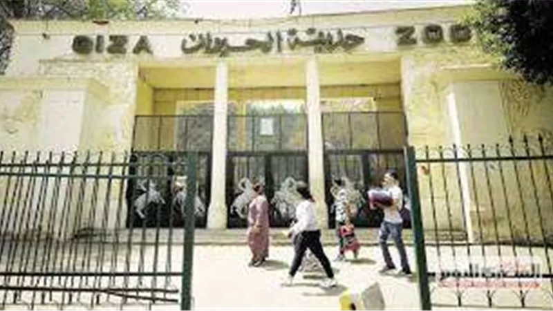 الحكومة تكشف حقيقة ما تردد حول تجريف أشجار حديقة الحيوان