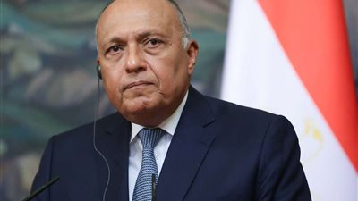 وزير الخارجية يشيد بالعلاقات الاستراتيجية الشاملة بين القاهرة وبكين