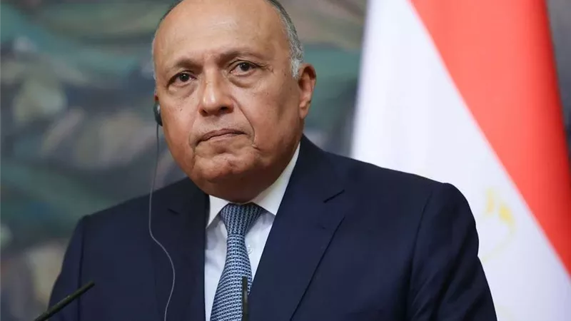 وزير الخارجية يشيد بالعلاقات الاستراتيجية الشاملة بين القاهرة وبكين