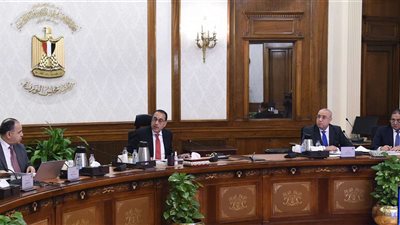 معلومات الوزراء: الدولة تعمل على زيادة رقعة الأراضي المزروعة لتلبية الاحتياجات المتزايدة
