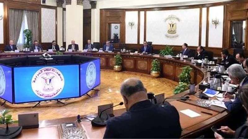 تستهدف نحو 400 ألف منشأة.. تفاصيل ميكنة قطاع تجارة التجزئة