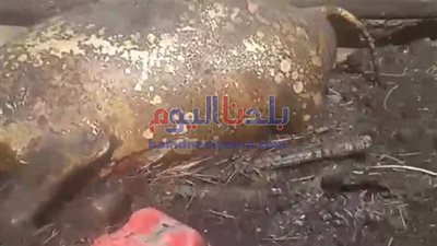 ٢٠٠ ألف جنيه خسائر .. حريق مروع يلتهم منزل وحظيرة مواشى بالمحلة (صور )