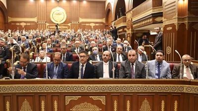 مجلس الشيوخ يبحث إضافة مادة جديدة لطلاب الثانوية العامة