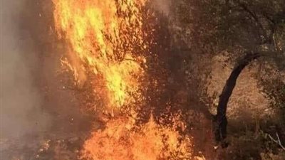 بعد موجة الحرائق.. إقامة صلاة الاستسقاء بـ سوريا (فيديو)