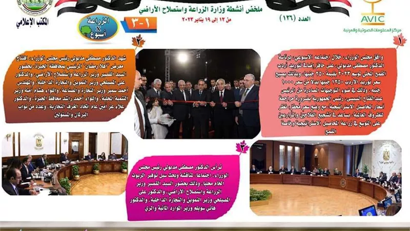 أبرزها صرف حافز إضافي لتوريد القمح.. نشاط مكثف للزراعة خلال أسبوع