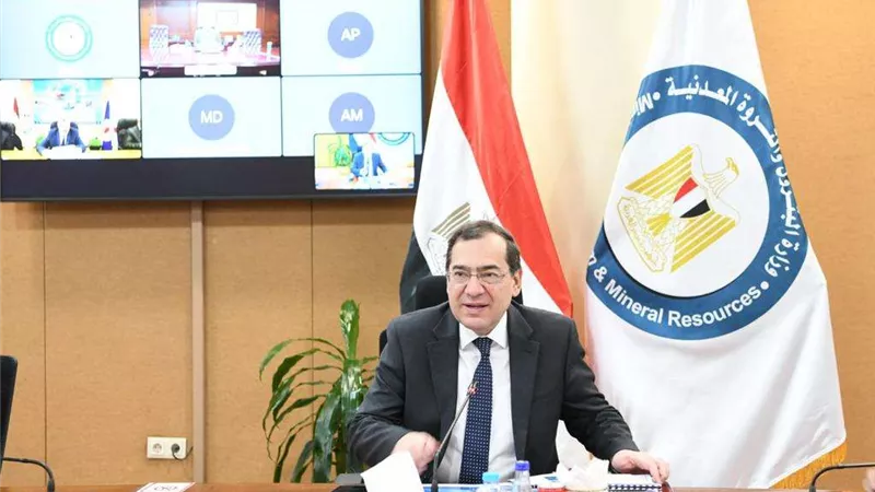 الملا يرأس الجمعيات العمومية لشركات الأسكندرية والعامرية للبترول والبتروكيماويات المصرية