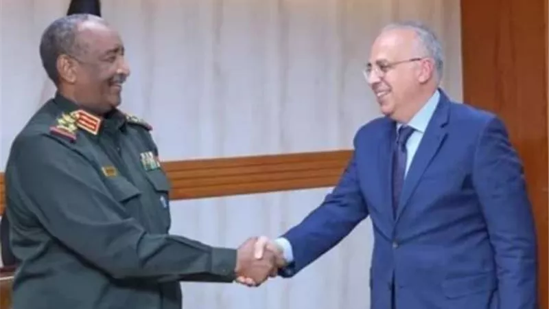 وزير الري: مصر  تهتم بتنفيذ مشروعات إستراتيجية مع السودان