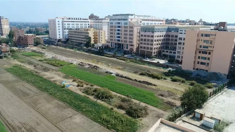 التعليم العالي: الكشف على 294397 مريضًا بالعيادة الخارجية