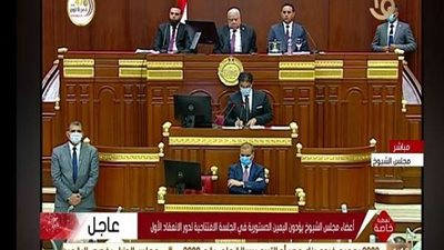 بث مباشر.. أولى جلسات مجلس الشيوخ تحت القبة