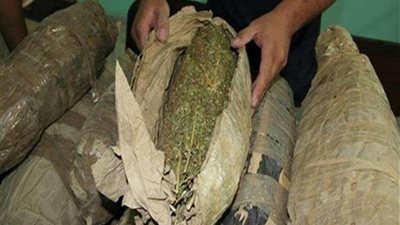 القبض على عاطل بحوزته 15 كيلو بانجو بالدقهلية