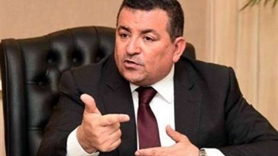 وائل الأبراشي: أسامة هيكل 