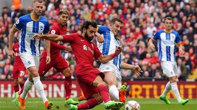 في رحلة الدفاع عن اللقب.. ليفربول يواجه برايتون اليوم في كأس الاتحاد الإنجليزي