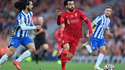 بث مباشر.. مشاهدة مباراة ليفربول وبرايتون في كأس الاتحاد الإنجليزي