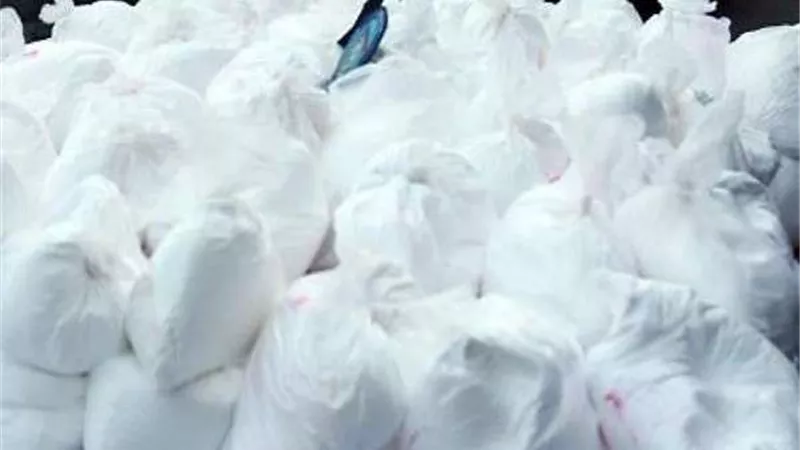 حبس عاطلين لتجارتهم في الهيروين بمدينة بدر
