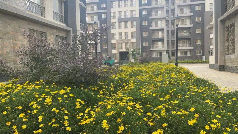 وزير الإسكان يتابع ما يتم تنفيذه من مشروعات بمدينة القاهرة الجديدة