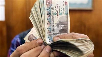 مجلس النواب يقترح أبرز السيناريوهات لحل أزمة الزيادة السكانية