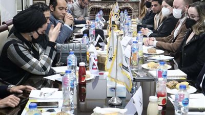 عضوة تنسيقية الأحزاب: هدفنا وصول نبض الشارع المصري إلى المسئولين.. فيديو