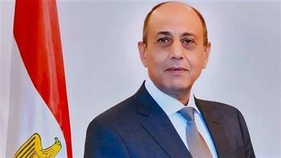 وزير الطيران يؤكد حرص مصر على التعاون مع الدول الأفريقية