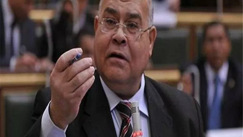 «الشهابي» يحذر: الدولة المصرية مستهدفة من قبل أعداء الوطن