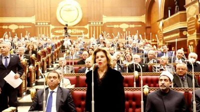 مشيرة خطاب بمجلس النواب: نحتاج إلى قانون ينصف الجميع ويحقق التوازن