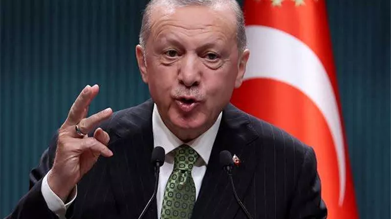 الرئيس التركي يدين إنتقاد جهود حكومته عقب الزلزال